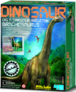 Dinosaurier Ausgrabung Brachiosaurus